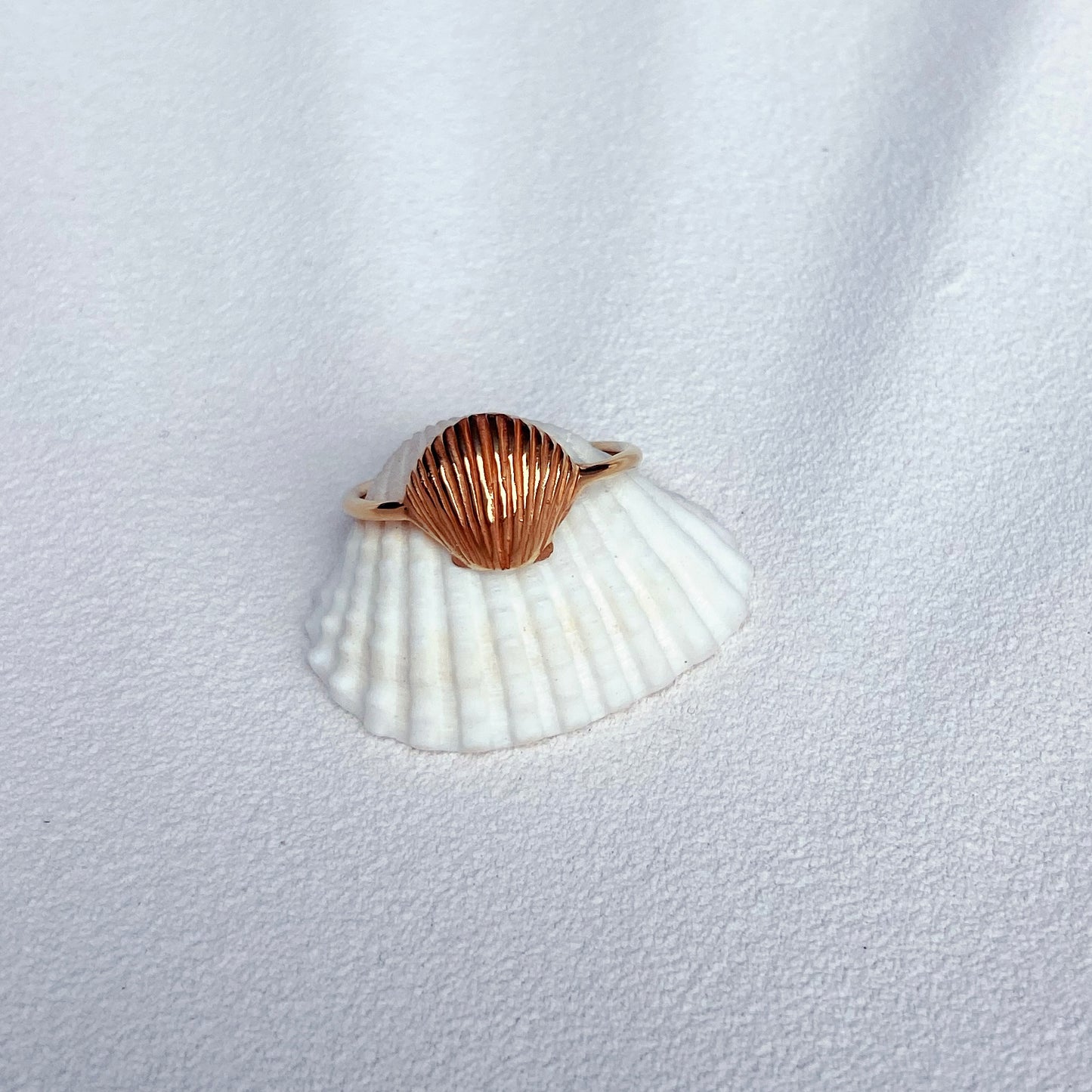 Beach Therapy | Ring