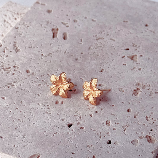 Sweet Frangipani | Earrings