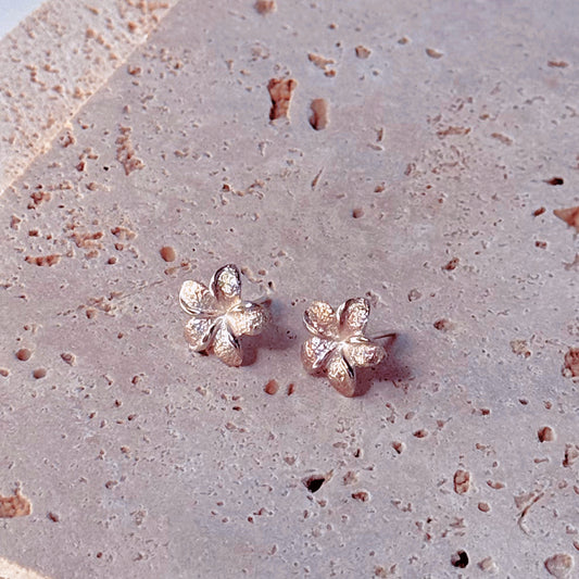 Sweet Frangipani | Earrings