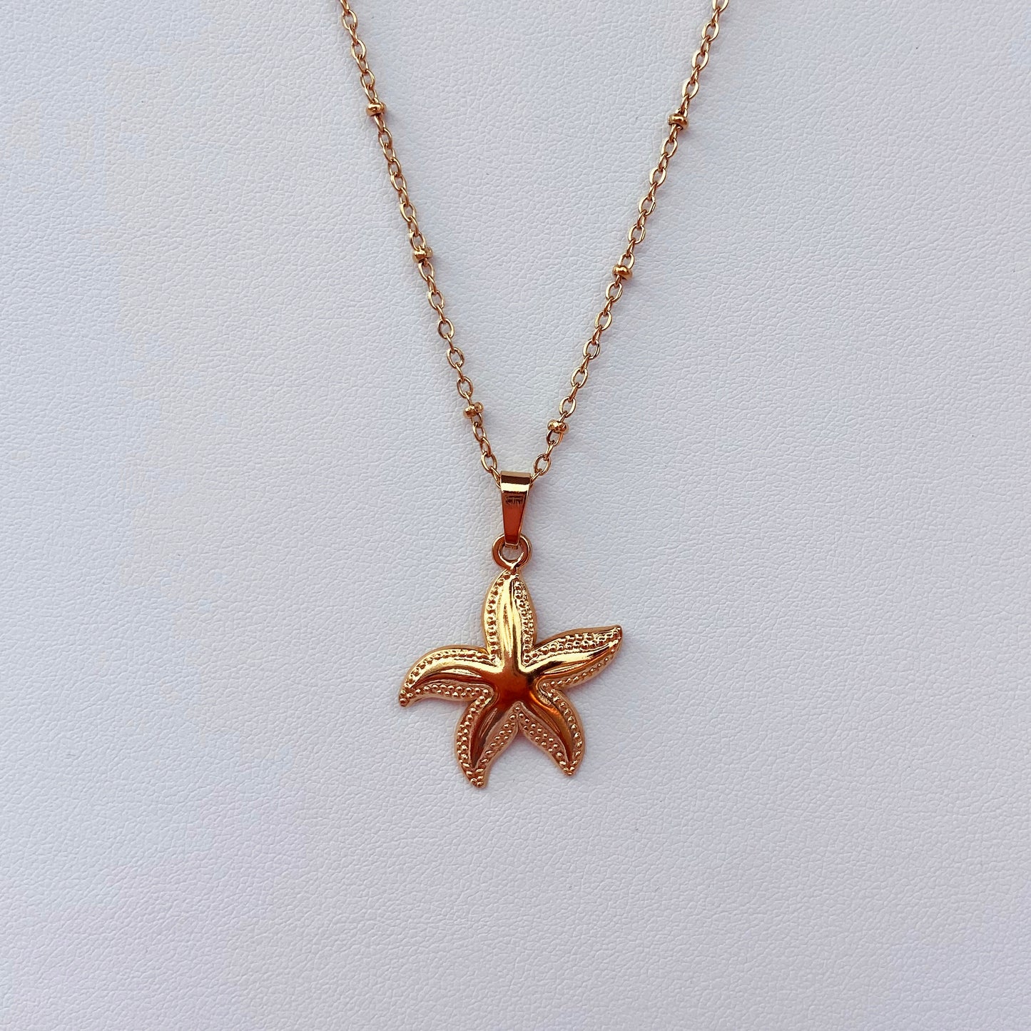 Shells and Secrets | Necklace