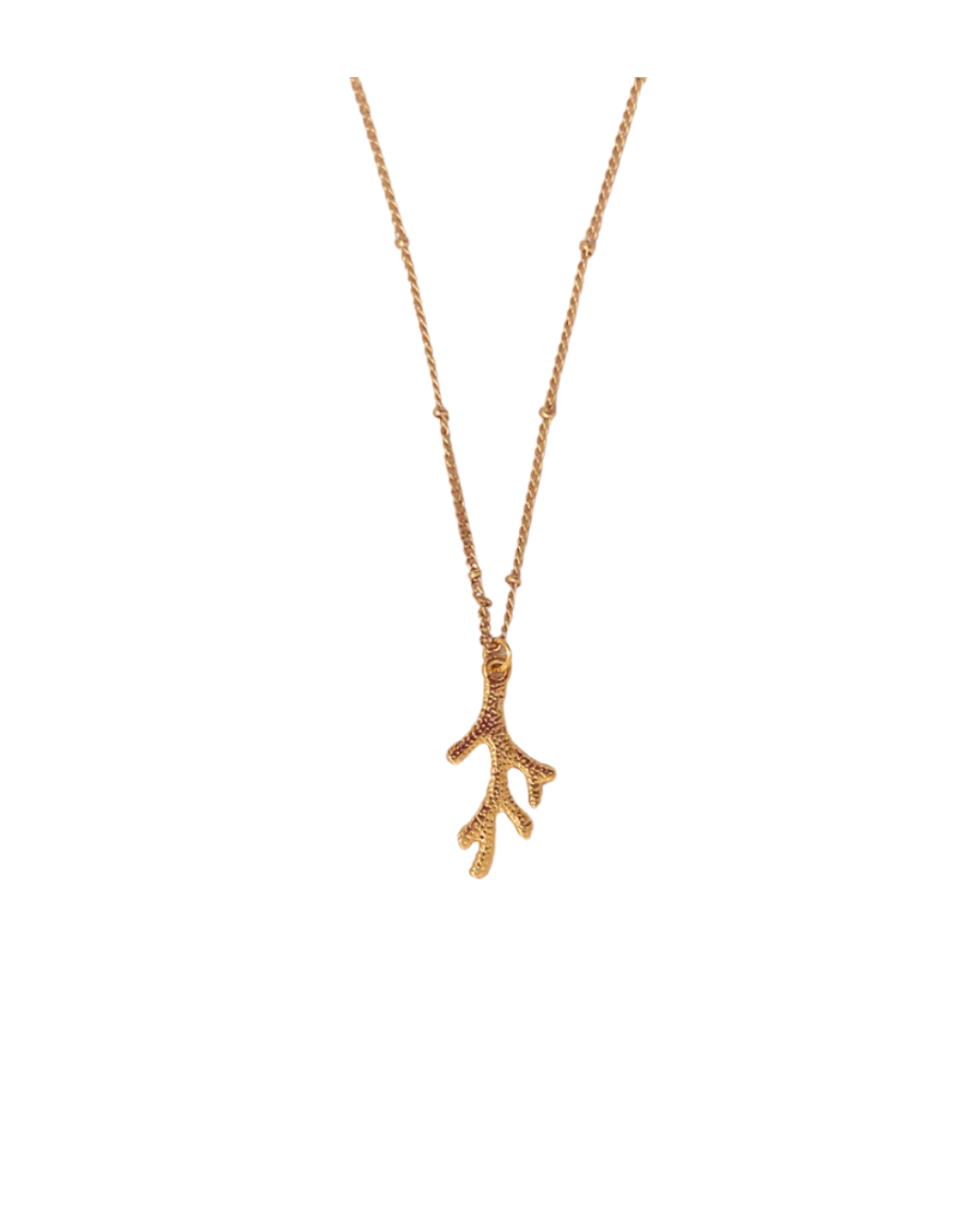 Coral Dream | Necklace