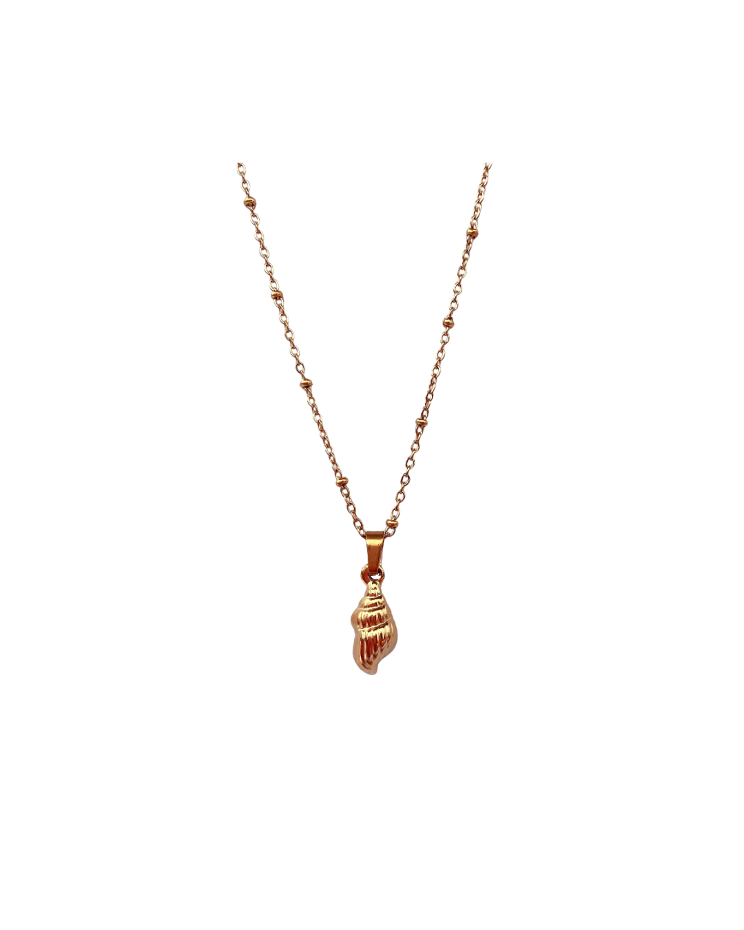 Shells in the Bahamas | Necklace