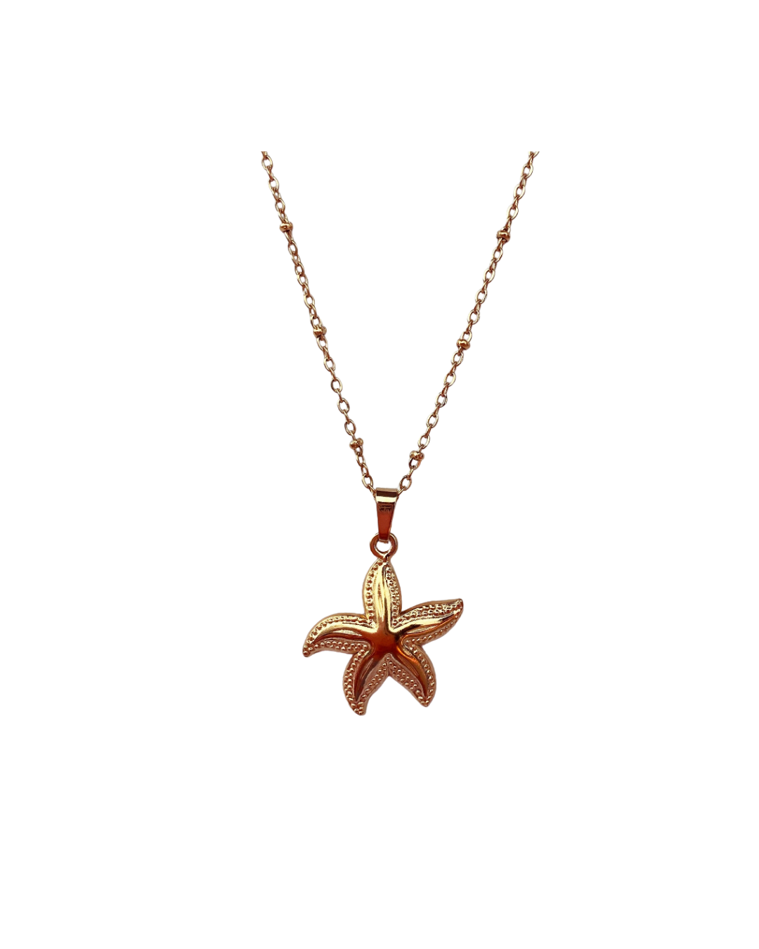 Shells and Secrets | Necklace
