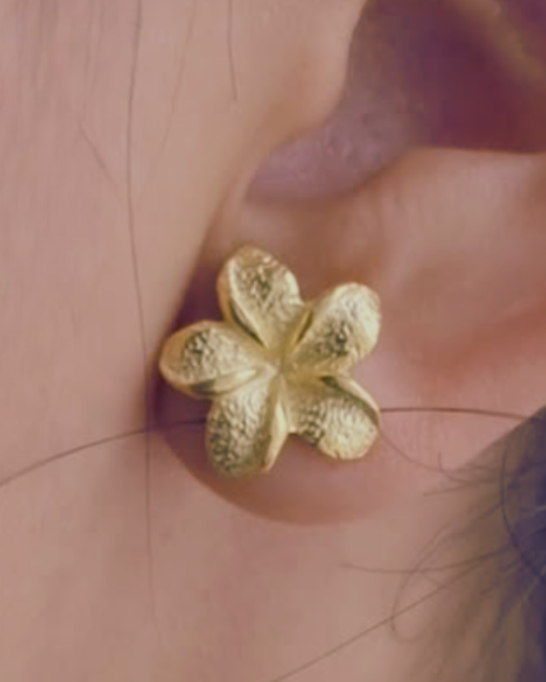 Sweet Frangipani | Earrings