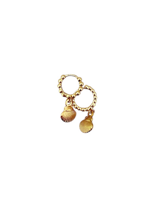 Shell bomb | Earrings