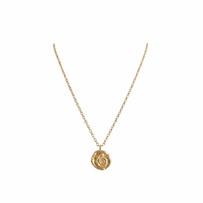 Tiny Shell Fossil | Necklace