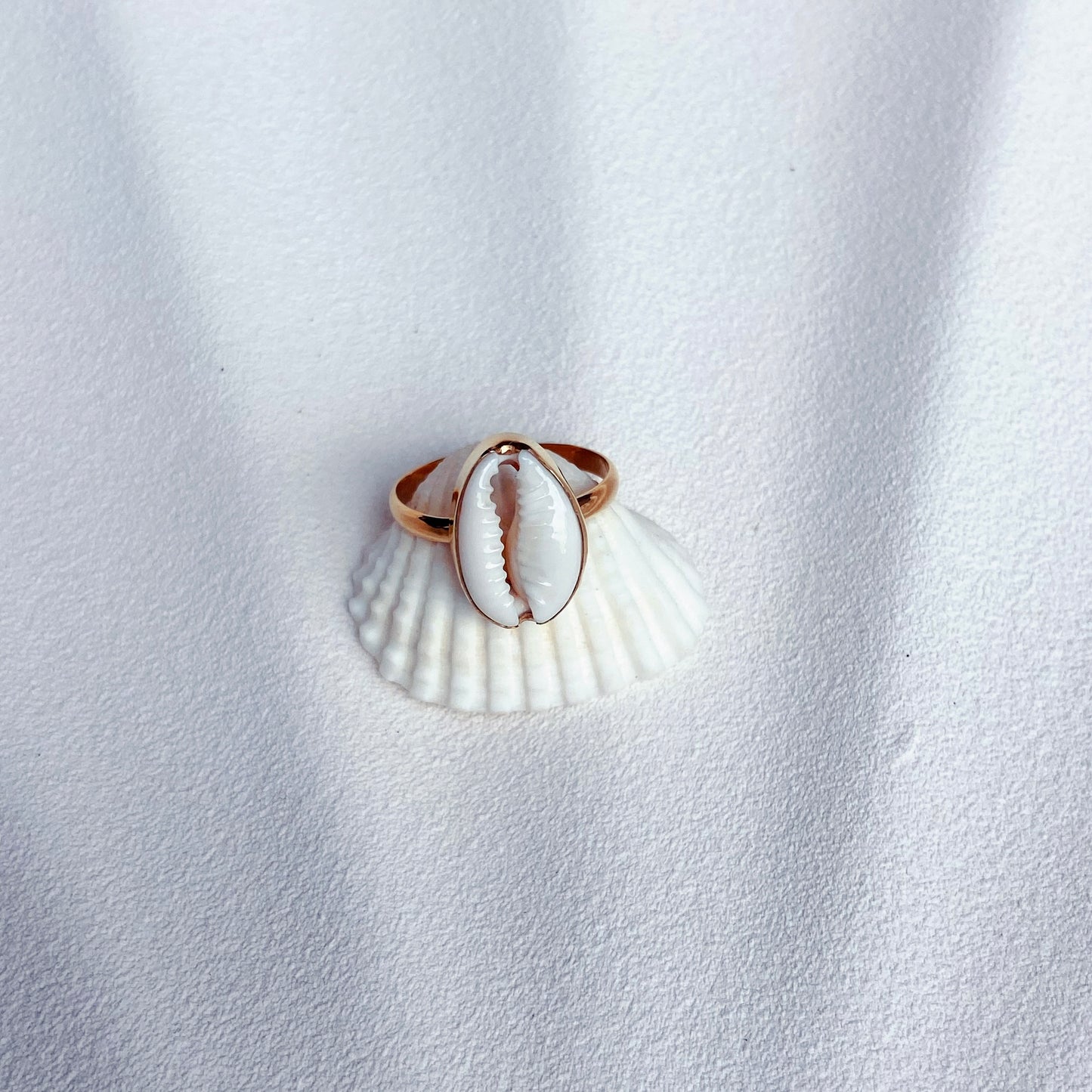 Ocean Seeker | Ring
