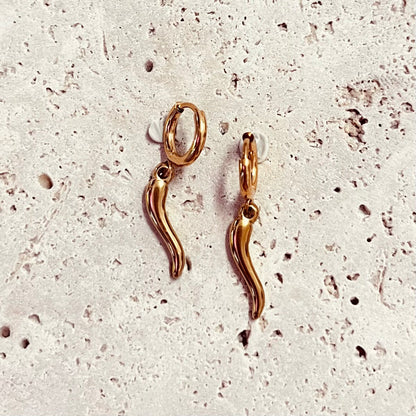 Spicy & I Know It | Earrings