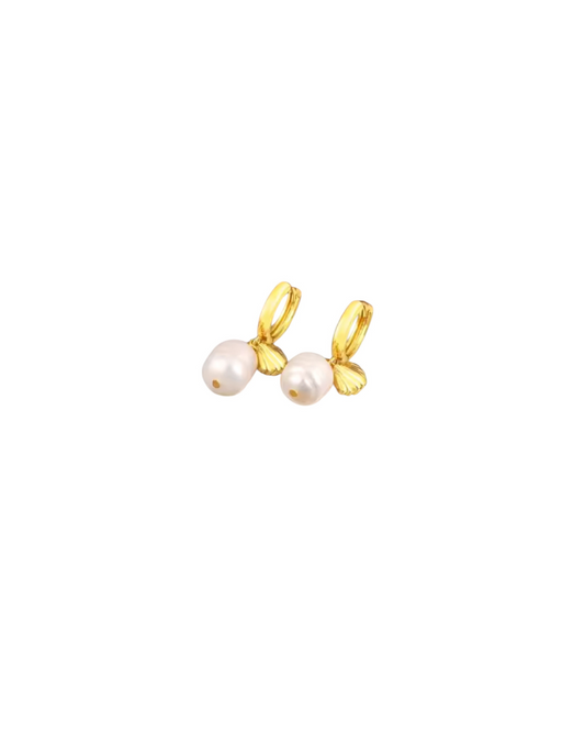 Tropéa | Earrings