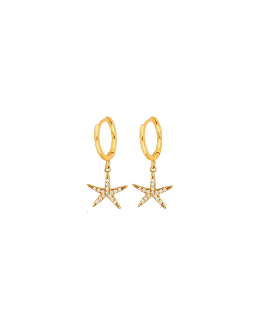 Starfish Spark | Earrings