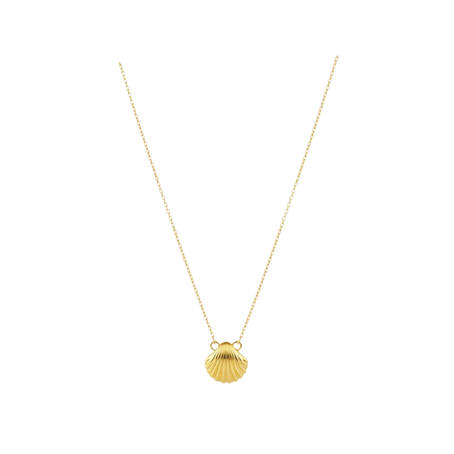 Golden Shoreline | Necklace