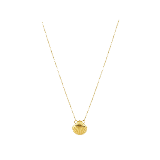 Golden Shoreline | Necklace