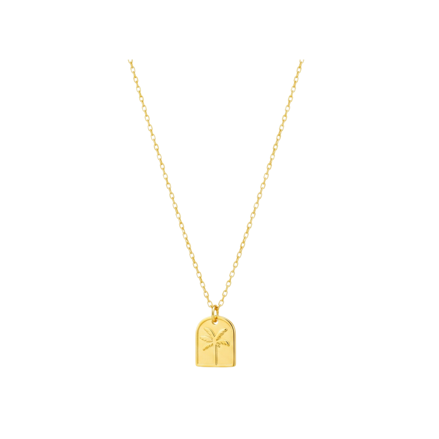 Coconut Palm | Necklace