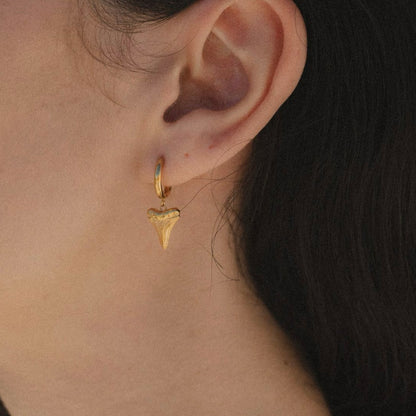 Shark Tooth | Earrings