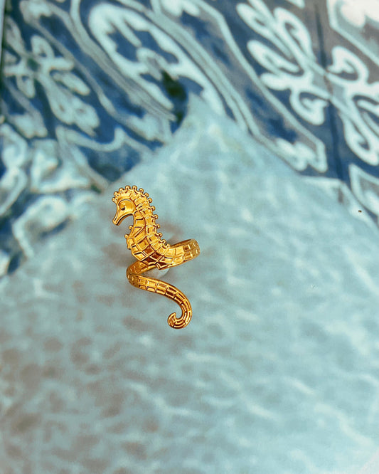 Seahorse Rider | Ring