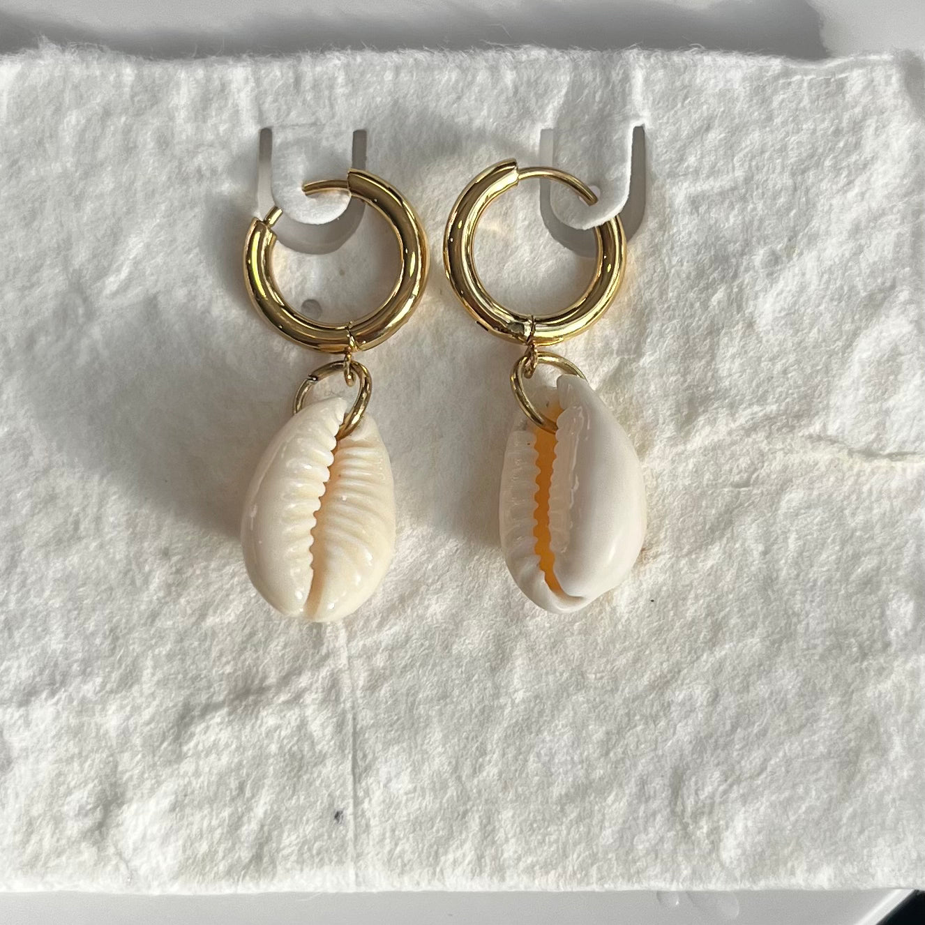 Cute Cowrie | Earrings
