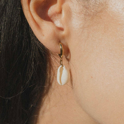 Cute Cowrie | Earrings
