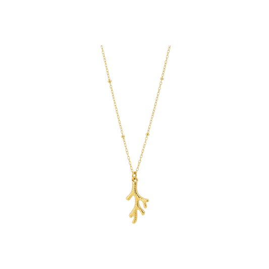 Coral Dream | Necklace