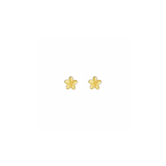 Golden Petal | Earrings