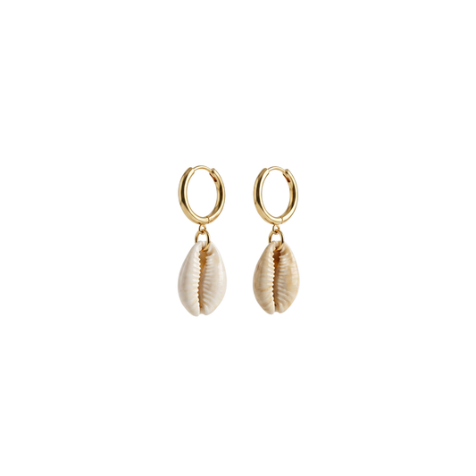 Cute Cowrie | Earrings
