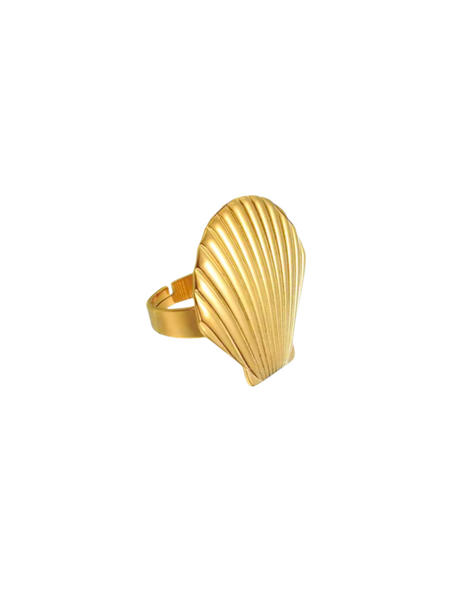 Summer Stories | Ring