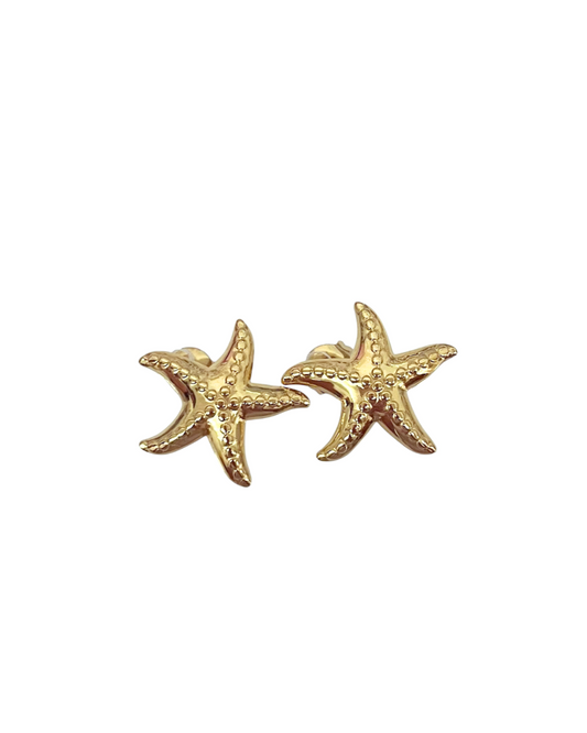Hidden Star Fish | Earrings