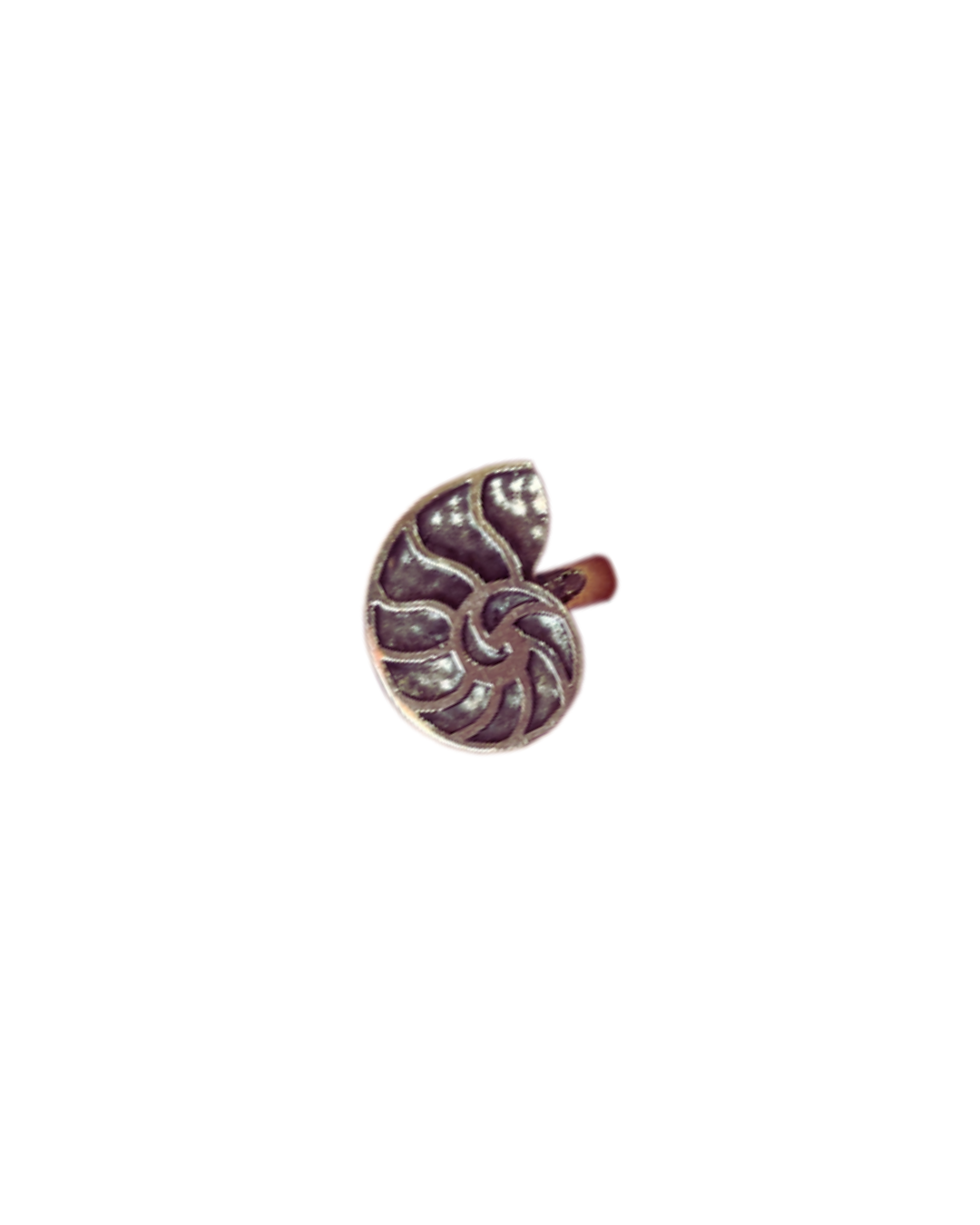 What a STUN-ING Shell | Ring