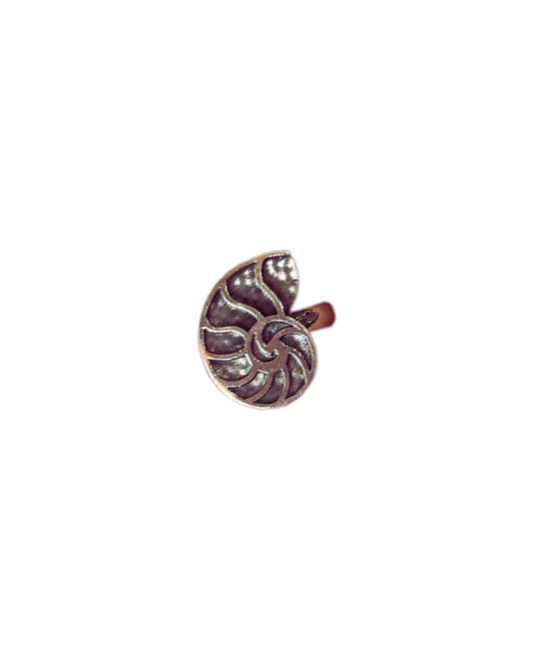What a STUN-ING Shell | Ring