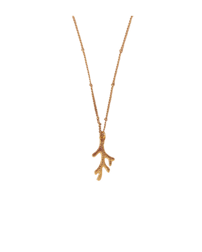 Coral Dream | Necklace