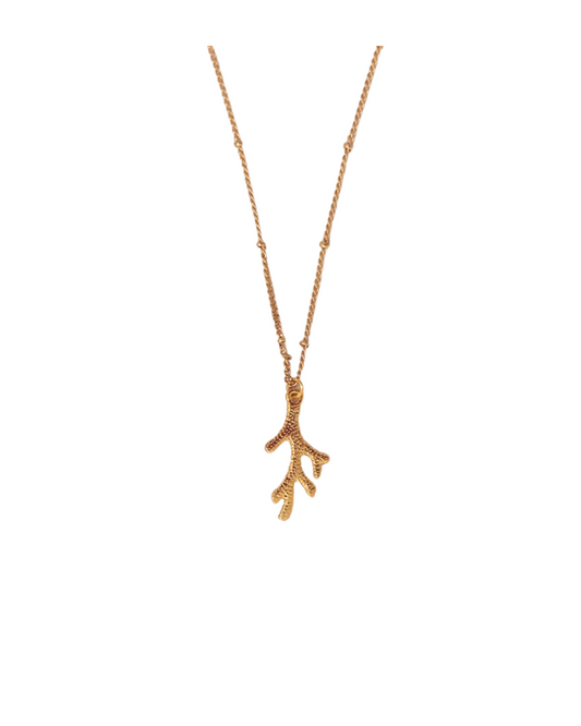 Coral Dream | Necklace