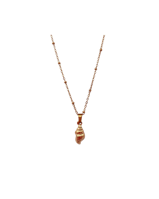 Shells in the Bahamas | Necklace
