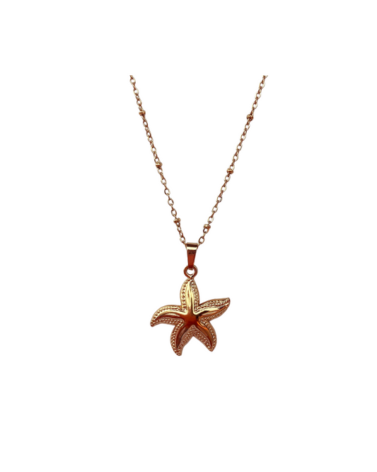Shells and Secrets | Necklace