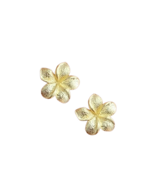 Sweet Frangipani  | Earrings