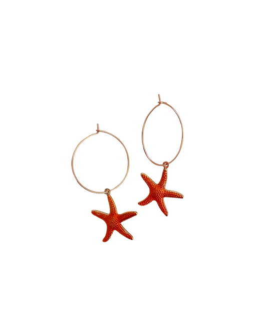 Tanned Mystery | Earrings