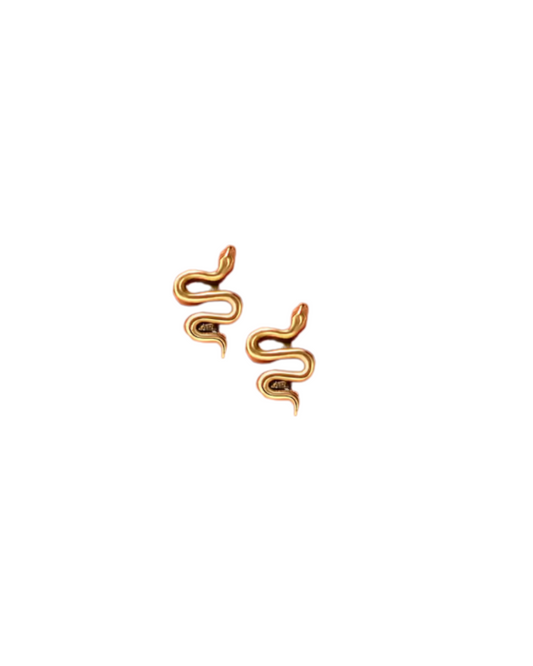 Snake Spell | Earrings