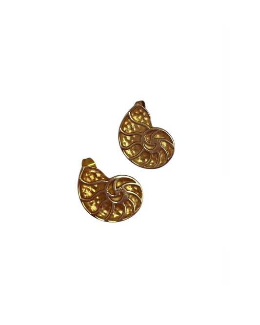 What a GOR-GEOUS Shell | Earrings