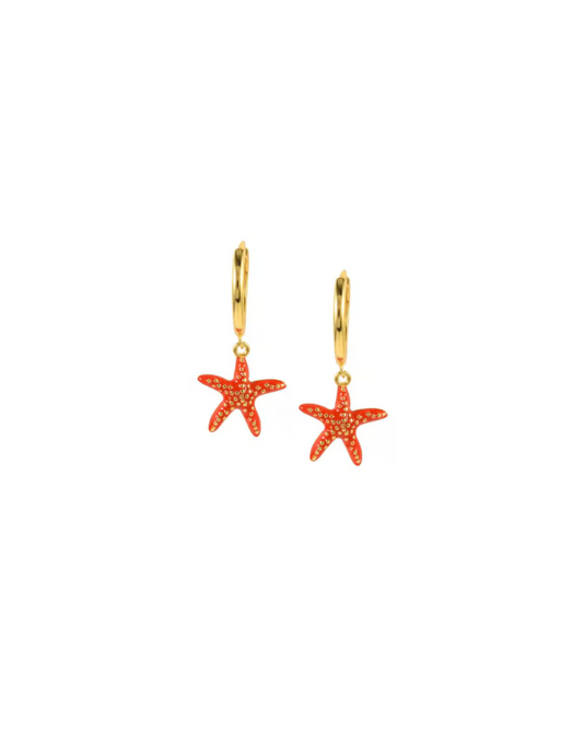 Star Fish at Bay | Earrings