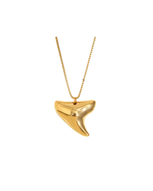 Shark Tooth necklace