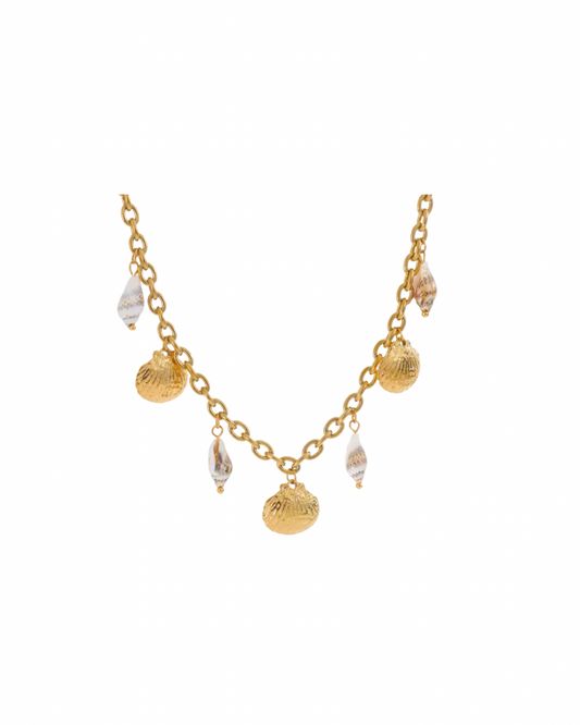 Summer Shells | Necklace