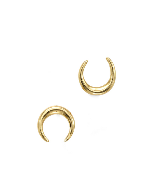 Desired Crescent Moon | Earrings